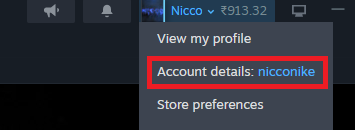 Steam Client Username