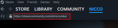 Custom Steam ID URL